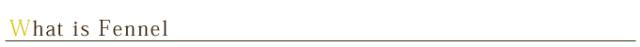 有機栽培オーガニックハーブ　無農薬　無化学肥料　フェンネル　santarosa　サンタローサ