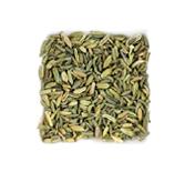 有機栽培オーガニックハーブ 無農薬 無化学肥料 フェンネル santarosa サンタローサ