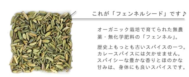 有機栽培オーガニックハーブ　無農薬　無化学肥料　フェンネル　santarosa　サンタローサ