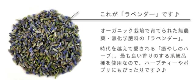 有機栽培オーガニックハーブ　無農薬　無化学肥料　ラベンダー
