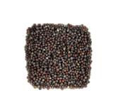 有機オーガニックスパイスで無農薬のマスタード・ブラウン