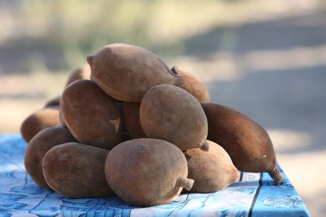 有機栽培オーガニック無農薬・無化学肥料バオバブパウダートップ"