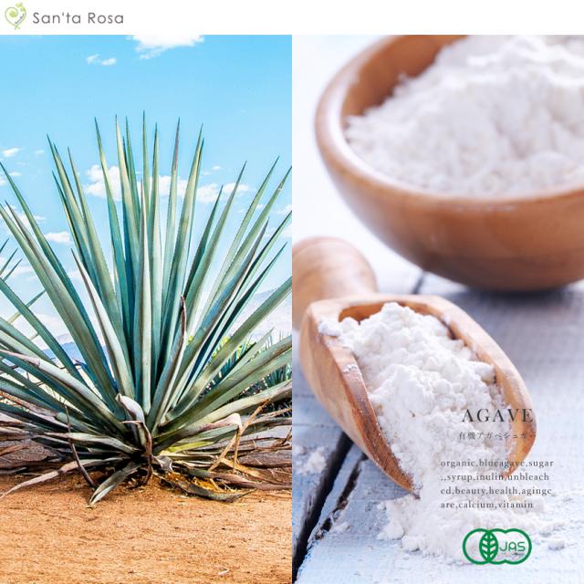アガベシュガー