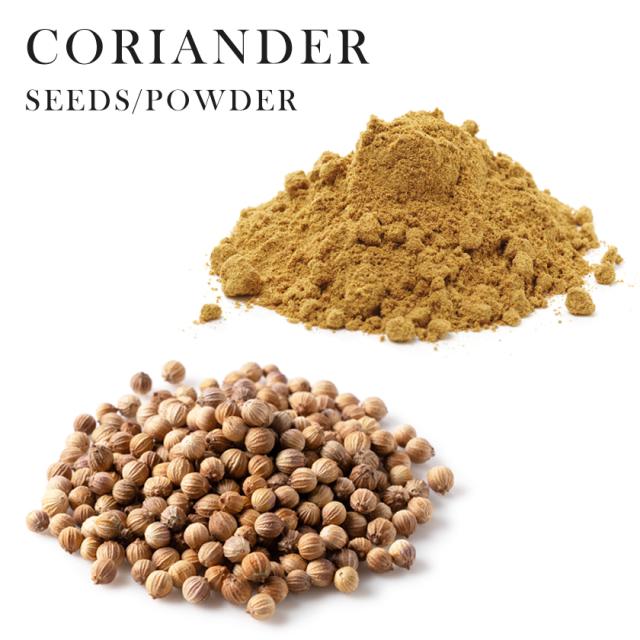 コリアンダー シード パウダー