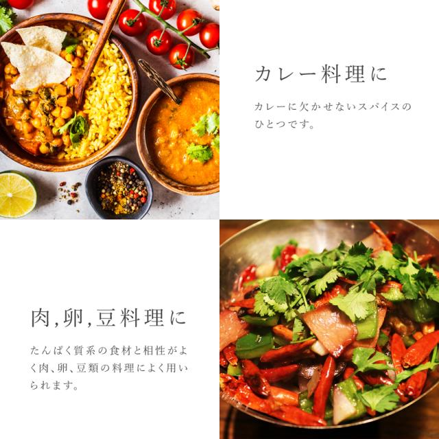 コリアンダー シード パウダー