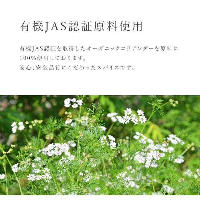 コリアンダー シード パウダー