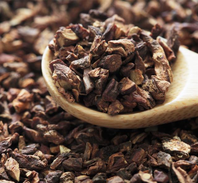 有機オーガニック素材の無農薬・無化学肥料「ダンディライオンルート」