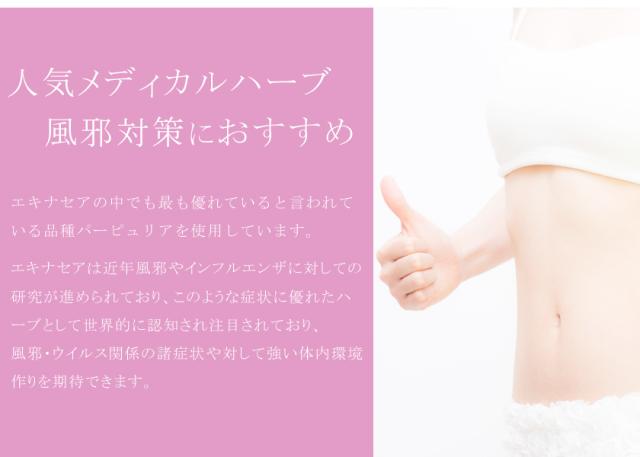 オーガニック「エキナセア」