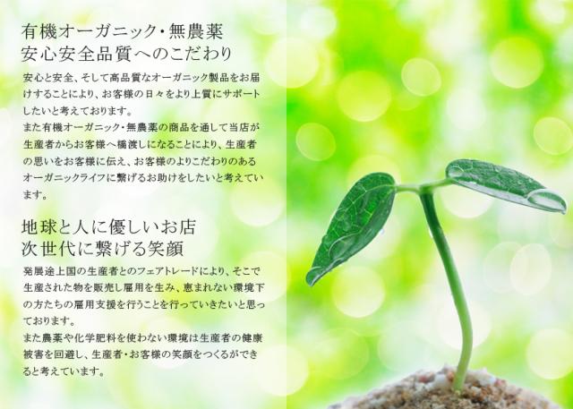 オーガニック「エキナセア」