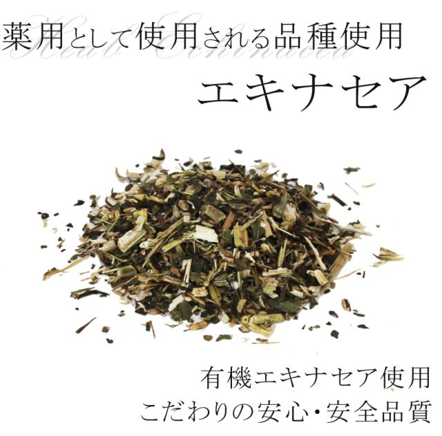 オーガニック「エキナセア」