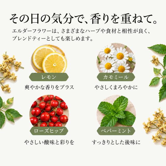 有機オーガニック素材の無農薬・無化学肥料「エルダーフラワー」