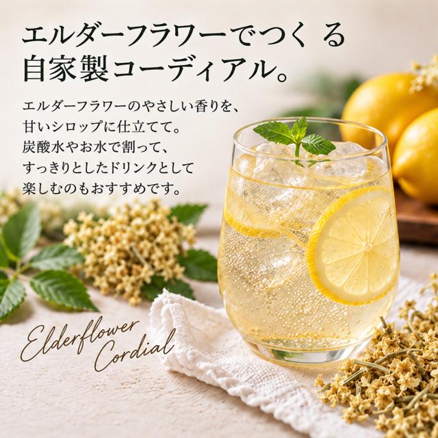 有機オーガニック素材の無農薬・無化学肥料「エルダーフラワー」