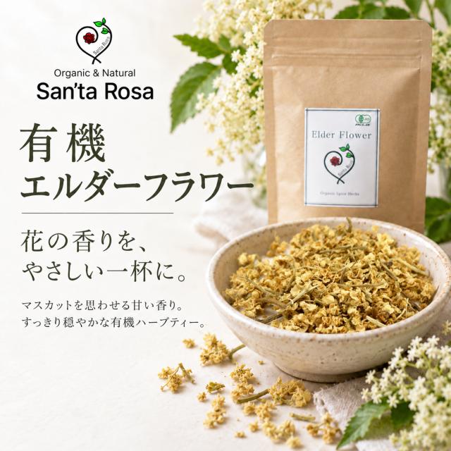 有機オーガニック素材の無農薬・無化学肥料「エルダーフラワー」