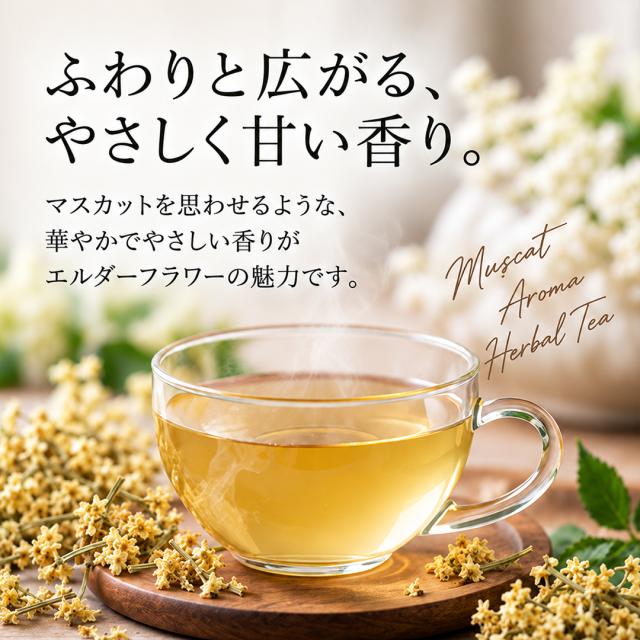 有機オーガニック素材の無農薬・無化学肥料「エルダーフラワー」