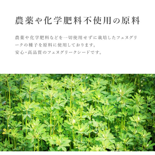 フェヌグリーク シード 農薬不使用