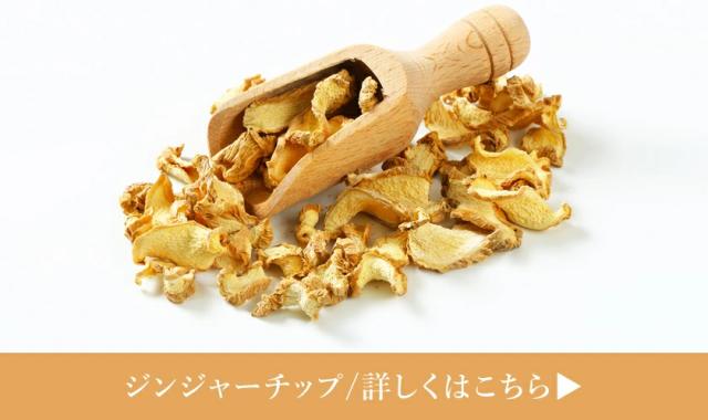 ジンジャーチップ