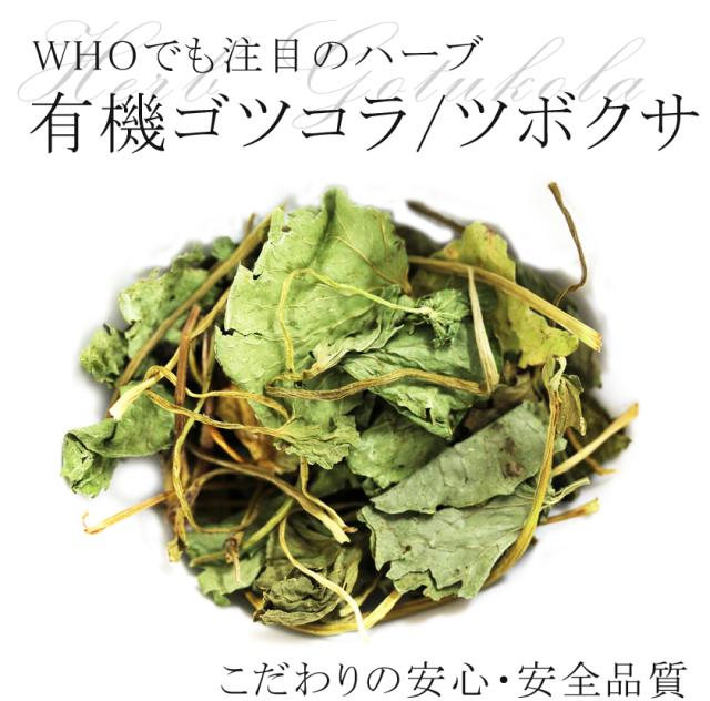 有機オーガニックの無農薬・無化学肥料ハーブ健康茶「ゴツコラ/ゴツコーラ/ツボクサ
