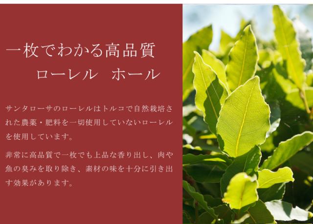 6　ポイント2　ローレル　ローリエ　ベイリーフ