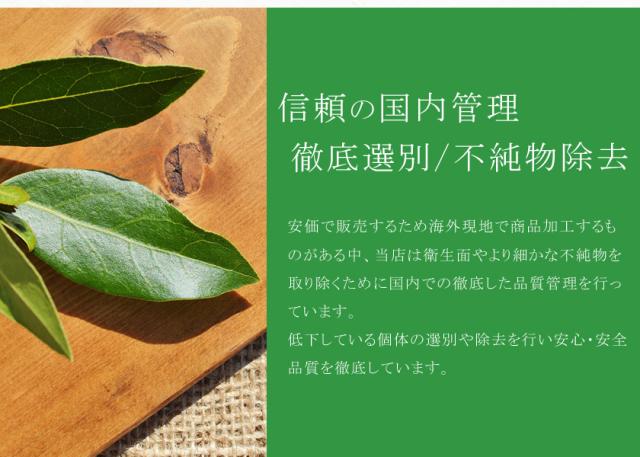 6　ポイント3　ローレル　ローリエ　ベイリーフ