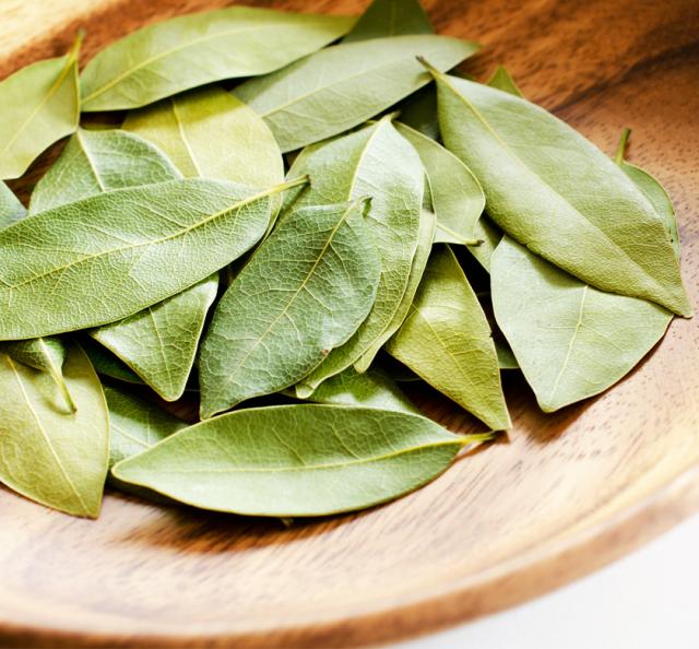 2　有機栽培オーガニックハーブ　無農薬　無化学肥料　「ローレル ホール」　月桂樹/ローリエ/ベイリーフ　santarosa　サンタローサ