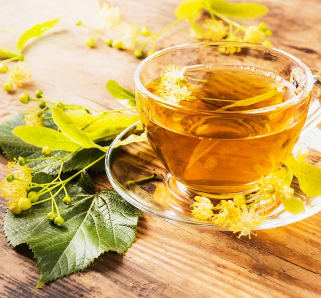 有機栽培オーガニックハーブ　無農薬　無化学肥料　リンデン　santarosa　サンタローサ