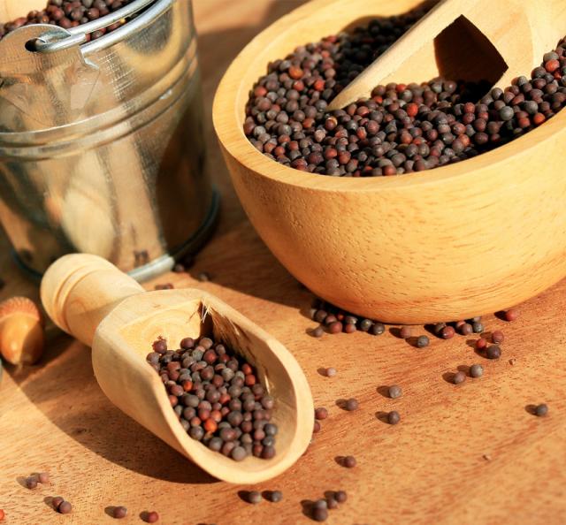 有機オーガニックスパイスで無農薬のマスタード・ブラウン