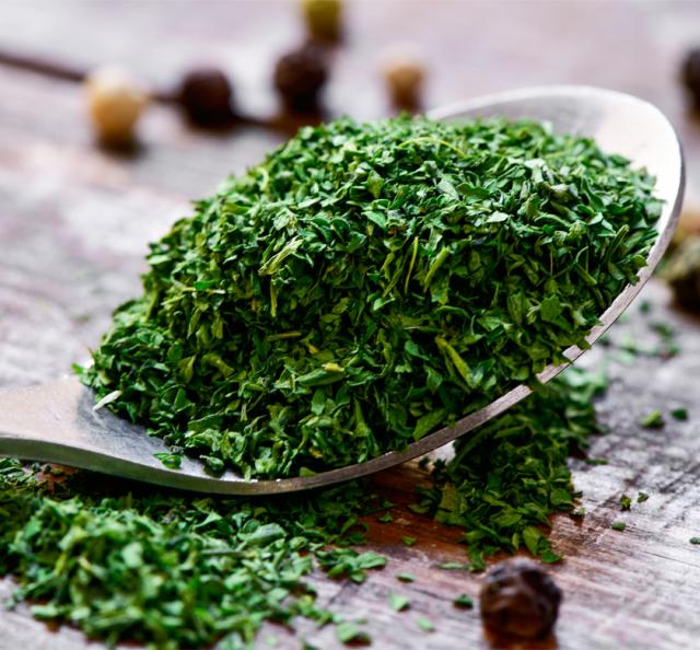 有機オーガニックハーブで無農薬のパセリ