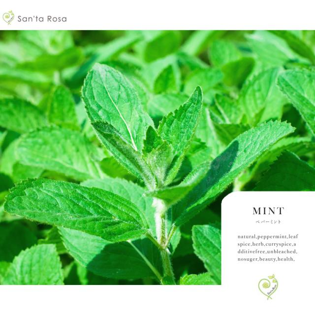 ペパーミント