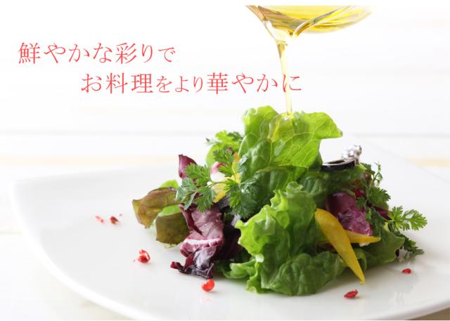 有機オーガニック素材の無農薬・無化学肥料「ピンクペッパー」