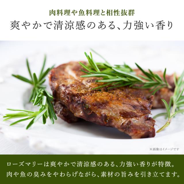 無農薬・有機オーガニックハーブのローズマリー