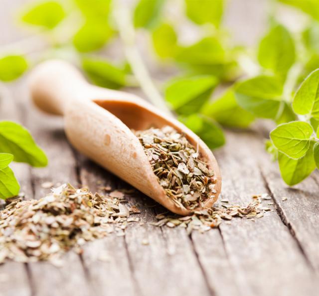 有機栽培オーガニックハーブ　無農薬・無化学肥料ハーブ「セージ」