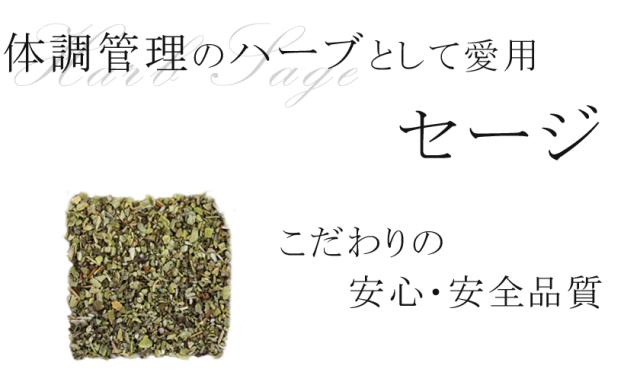 有機栽培オーガニックハーブ　無農薬・無化学肥料ハーブ「セージ」