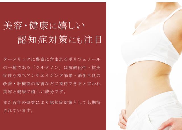 有機オーガニック素材の無農薬・無化学肥料「ターメリック」