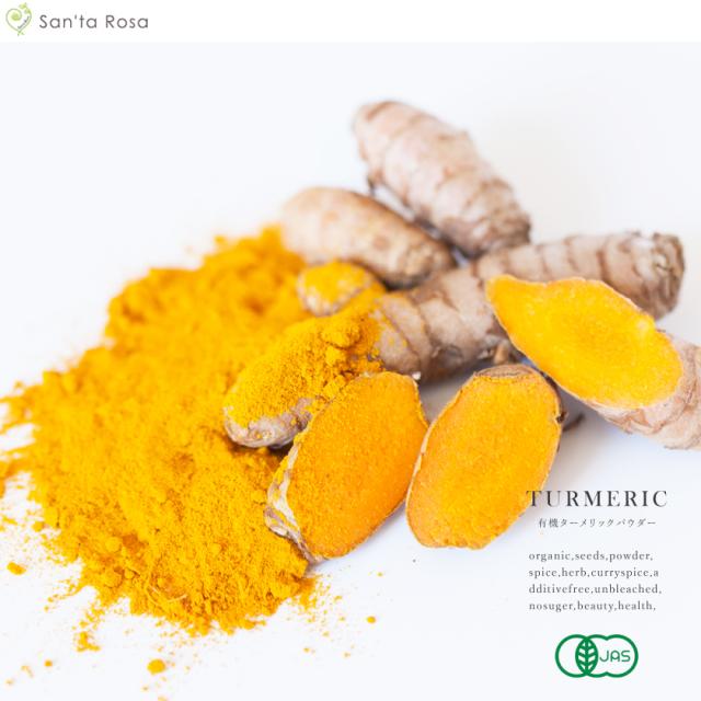 有機オーガニック素材の無農薬・無化学肥料「ターメリック」