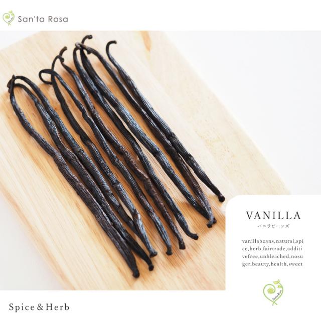 バニラビーンズ