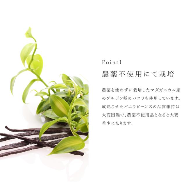 バニラビーンズ