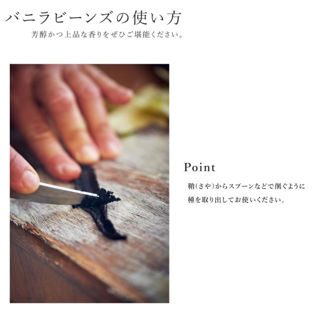 バニラビーンズ