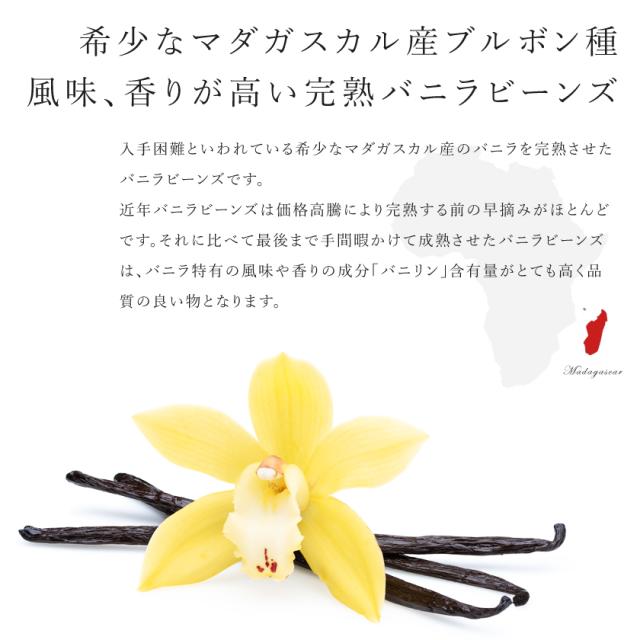 バニラビーンズ
