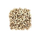 有機栽培オーガニックハーブ　無農薬　無化学肥料　ホワイトペッパー