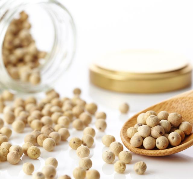 有機栽培オーガニックハーブ　無農薬　無化学肥料　ホワイトペッパー