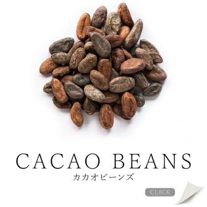 カカオビーンズ