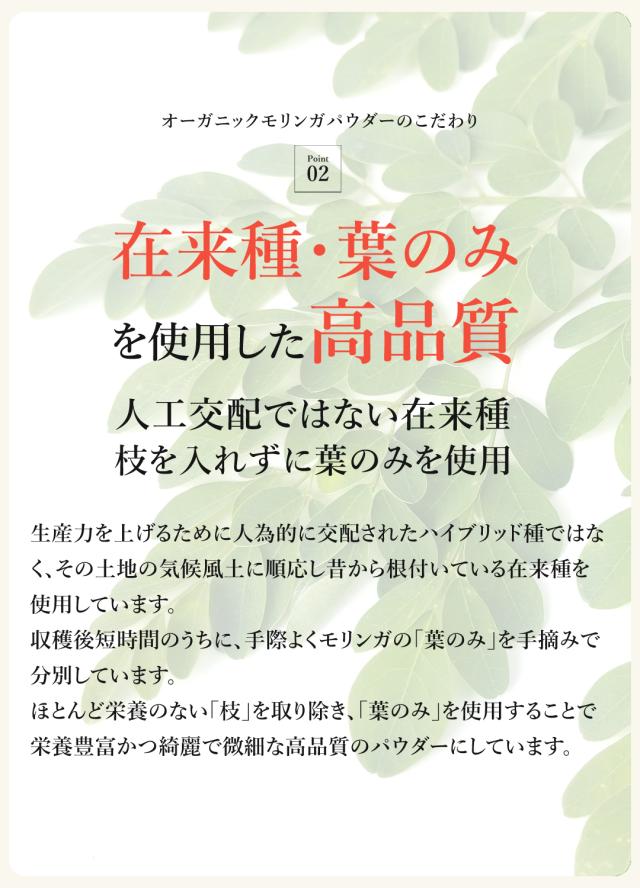 有機 オーガニック モリンガ