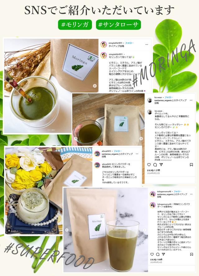 有機 オーガニック モリンガ
