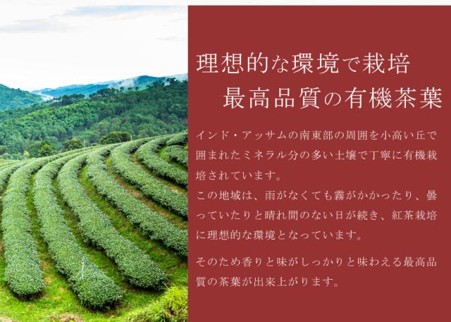 オーガニック「アッサム紅茶」