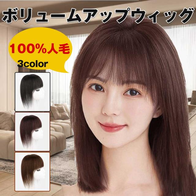 ヘアピース つむじ 人毛100% 頭頂部 ウィッグ 自然 前髪