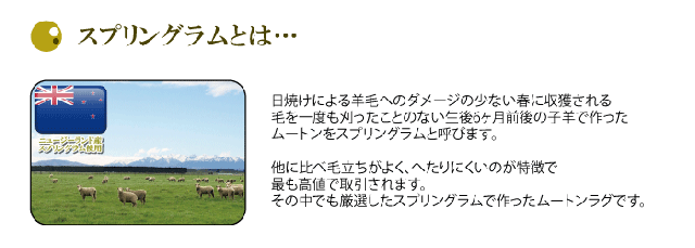 ムートンシートクッション 短毛タイプ 毛皮 ムートンクッション ムートン クッション 座布団 の通販はau Wowma Living Fine リビングファイン