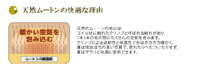 ムートンシートクッション 短毛タイプ 毛皮 ムートンクッション ムートン クッション 座布団 の通販はau Wowma Living Fine リビングファイン