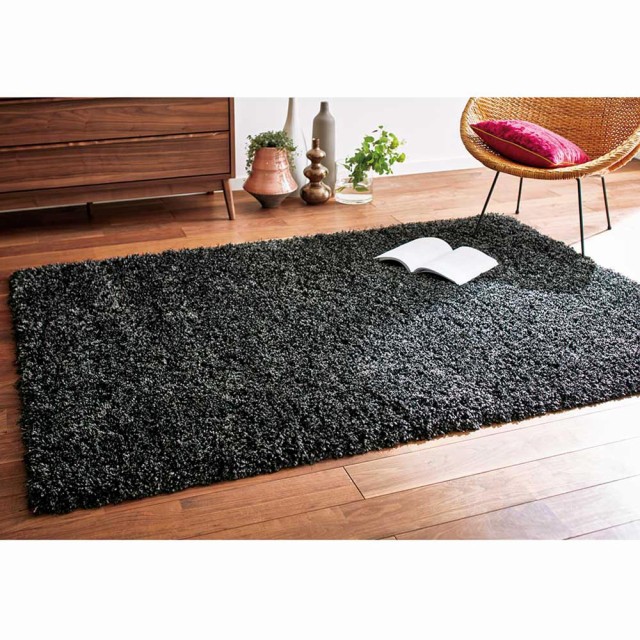 最新作 カーテン 敷物 ソファカバー カーペット ラグ マット 約160×230cm(マリカ ミックスシャギーラグ) H07623の通販はau PAY マーケット - ディノス au PAY マーケット店|商品ロットナンバー:340178217 高品質得価