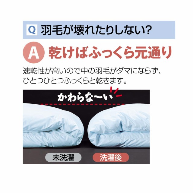 高品質正規品 ベッド 羽毛掛け布団) 545128の通販はau PAY マーケット - ディノス au PAY マーケット 寝具 布団 毛布 洗える布団 クイーンロング (ウォッシュニング・ハウス(R) 洗える羽毛布団シリーズ 数量限定お得