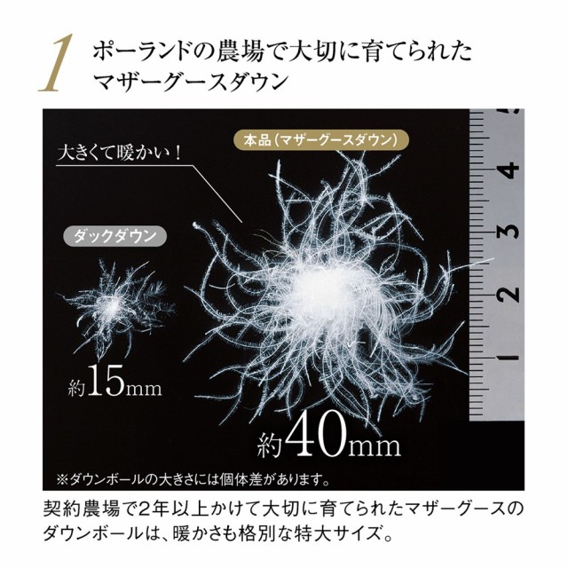新品特価 ベッド PAY マーケット - ディノス au PAY マーケット店 寝具 布団 毛布 クイーンロング(最高位ラベル取得ポーランド産マザーグースプレミアム羽毛掛け布団 立体2層羽毛布団) 545421の通販はau 新作入荷安い